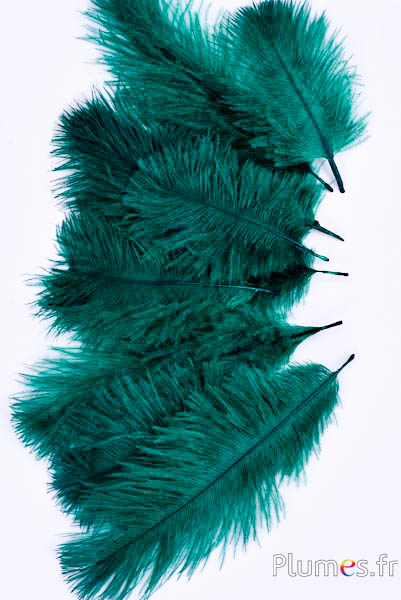 Struisvogel Bellies - 8-13 cm - smaragd